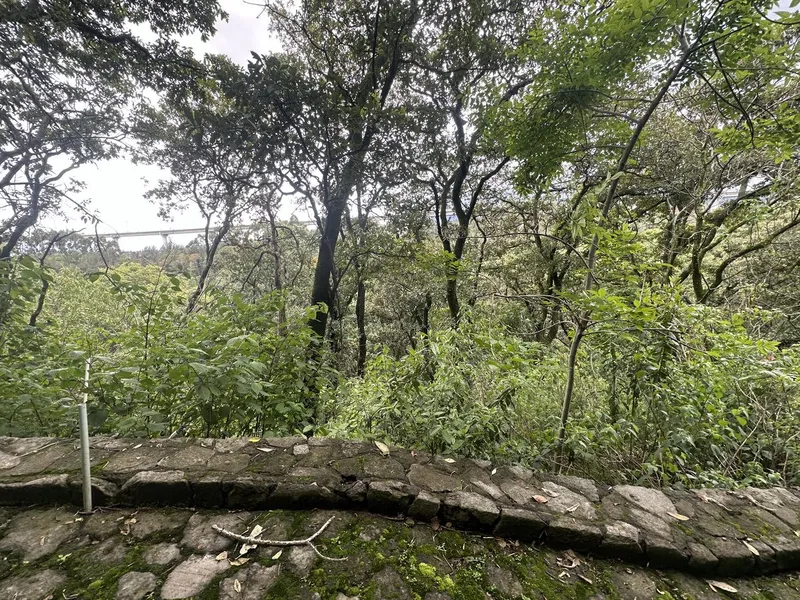 Lote en venta · Contadero, Cuajimalpa de Morelos, Ciudad de México