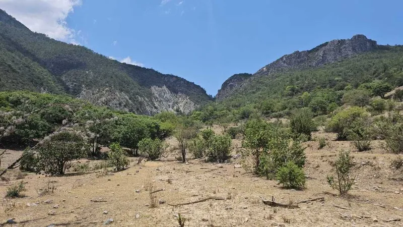 Lote en venta · Industrial Milenium de Santa Catarina 2do Sector, Santa Catarina, Nuevo León