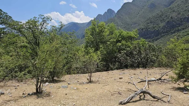Lote en venta · Industrial Milenium de Santa Catarina 2do Sector, Santa Catarina, Nuevo León