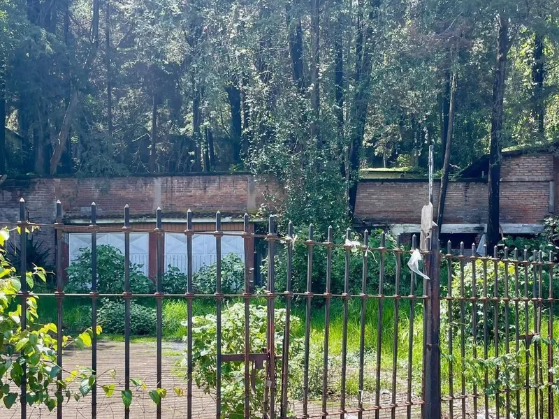 Foto 6