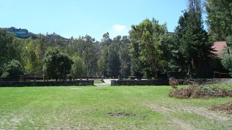 Foto 9