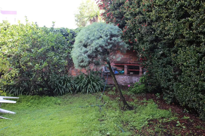 Foto 12