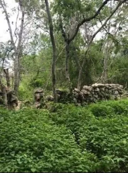 Lote en venta · San Jose Tzal, Mérida, Yucatán
