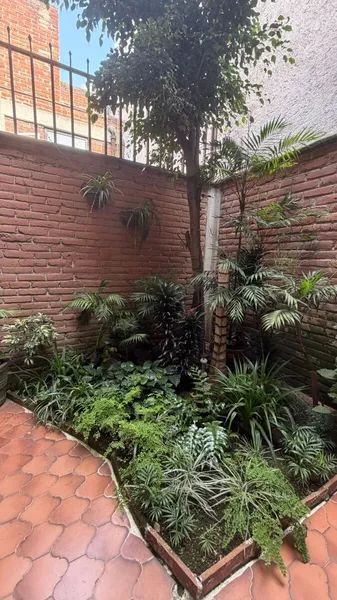 Condominio en venta · San Angel, Álvaro Obregón, Ciudad de México Condominio en venta · San Angel, Álvaro Obregón, Ciudad de México