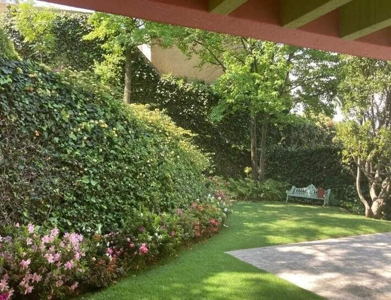 Foto 11