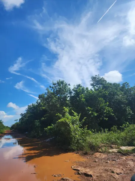 Lote en venta · Juárez, Cancún, Benito Juárez, Quintana Roo Lote en venta · Juárez, Cancún, Benito Juárez, Quintana Roo