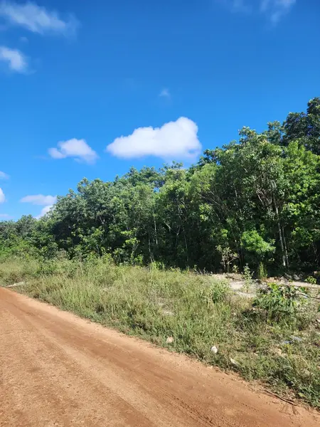 Lote en venta · Juárez, Cancún, Benito Juárez, Quintana Roo Lote en venta · Juárez, Cancún, Benito Juárez, Quintana Roo