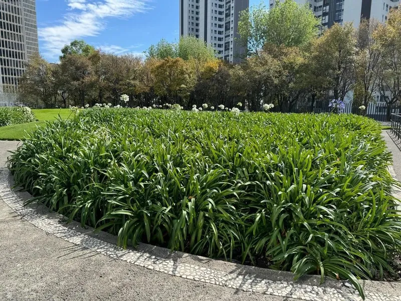 Foto 35