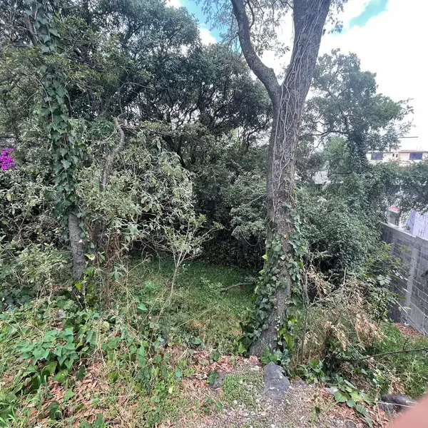 Foto 8