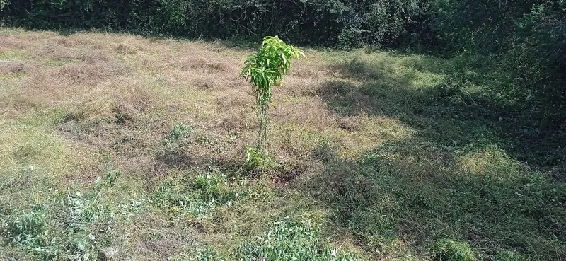 Foto 13