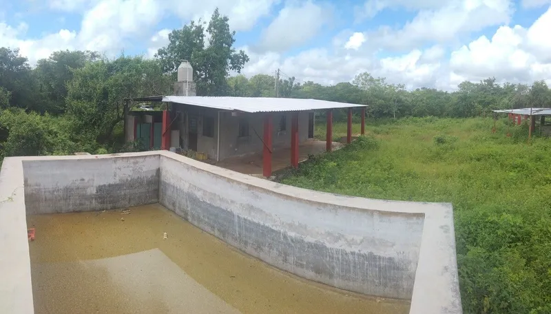 Foto 4