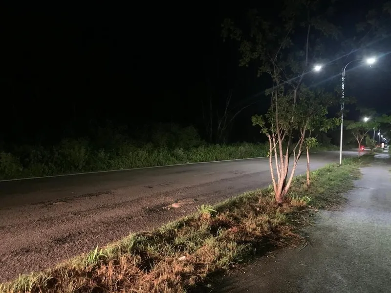Foto 7