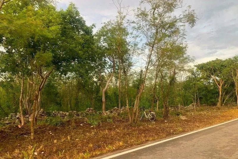 Lote en venta · Dzemul, Mérida, Yucatán