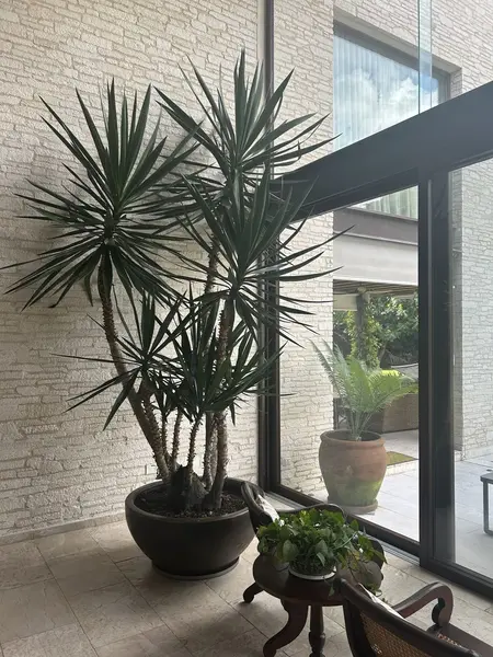 Foto 11