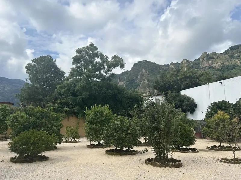 Foto 36