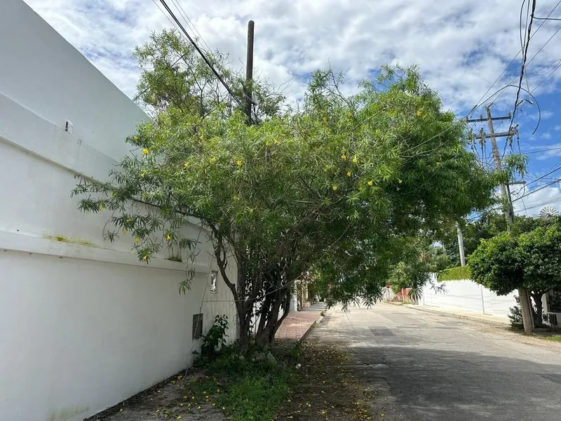 Casa en venta · Benito Juárez Nte, Mérida, Yucatán