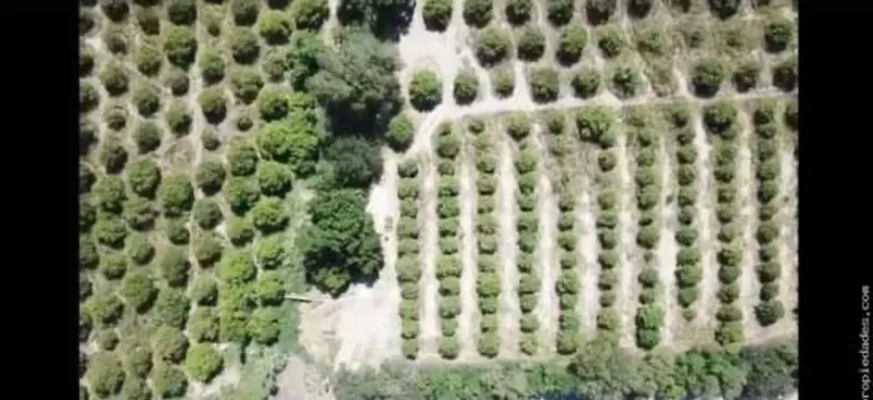 Lote en venta · INFONAVIT Río Verde, Linares, Nuevo León