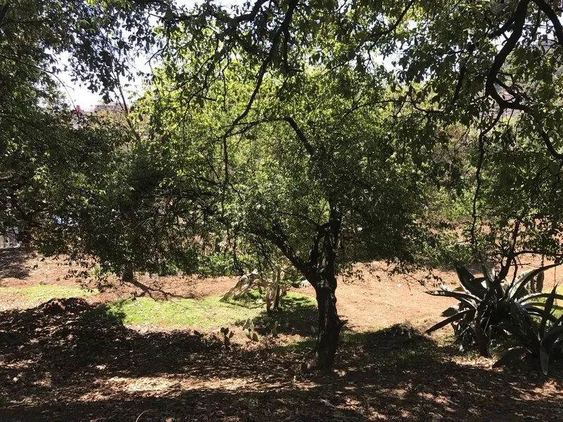 Lote en venta · El Ermitaño, La Magdalena Contreras, Ciudad de México
