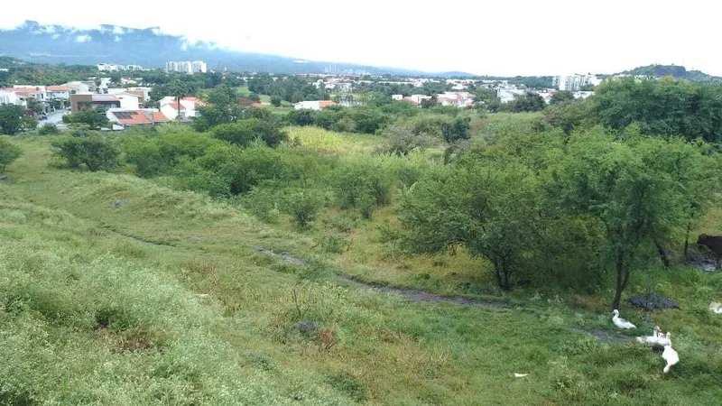 Foto 16