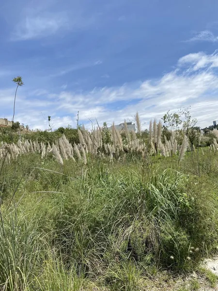 Lote en venta · Bosque Real, Huixquilucan, Estado de México