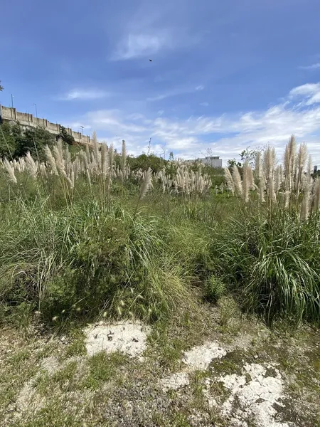 Lote en venta · Bosque Real, Huixquilucan, Estado de México