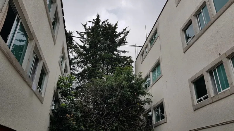 Departamento en venta · Lomas de Chapultepec I Sección, Lomas de Chapultepec, Chapultepec, Miguel Hidalgo, Ciudad de México Departamento en venta · Lomas de Chapultepec I Sección, Lomas de Chapultepec, Chapultepec, Miguel Hidalgo, Ciudad de México