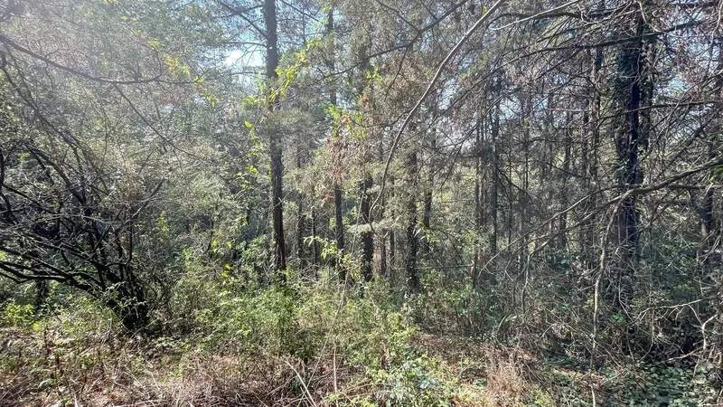 Lote en venta · San Mateo Tlaltenango, Cuajimalpa de Morelos, Ciudad de México