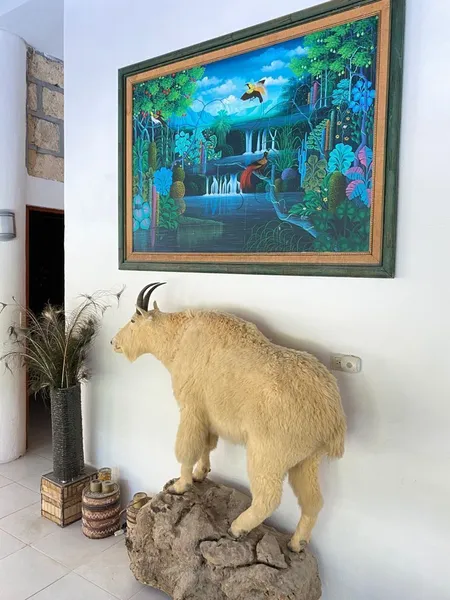 Foto 36