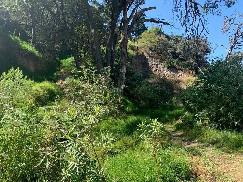 Foto 11