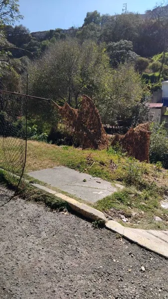 Foto 8