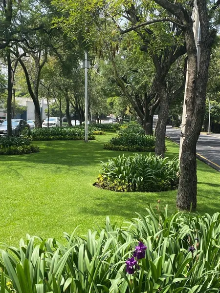 Foto 17