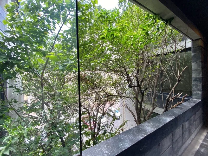 Foto 14