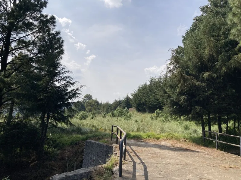 Foto 11