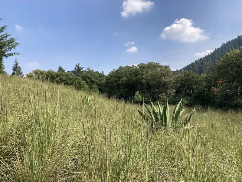Lote en venta · Cañada de Alférez, Lerma, Estado de México