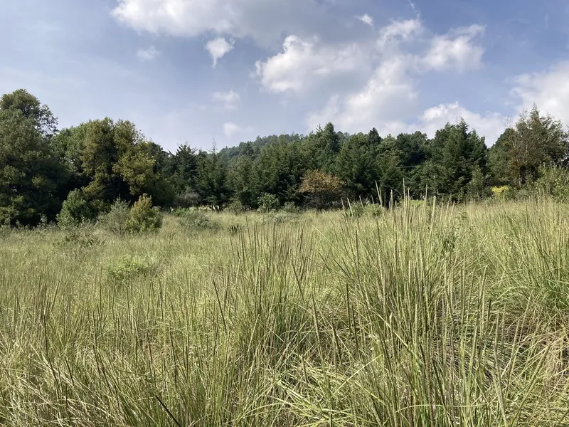 Lote en venta · Cañada de Alférez, Lerma, Estado de México