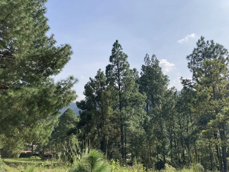 Lote en venta · Cañada de Alférez, Lerma, Estado de México Lote en venta · Cañada de Alférez, Lerma, Estado de México