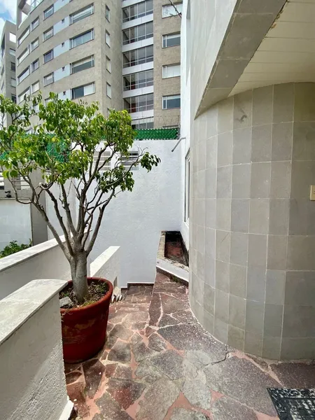 Foto 41