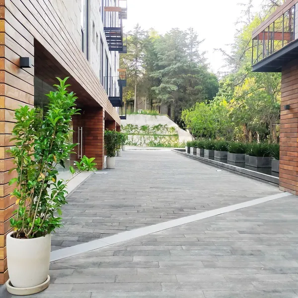 Departamento en venta · Lomas de los Cedros, Álvaro Obregón, Ciudad de México