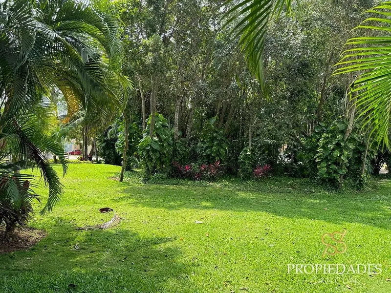 Foto 15