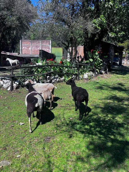 Foto 12