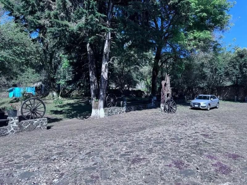Foto 7