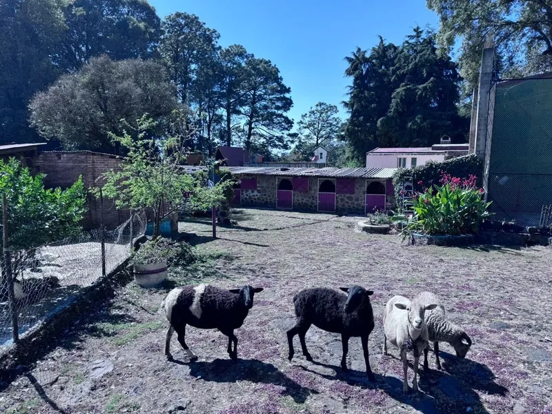 Casa en venta · Huitzilac, Huitzilac, Morelos