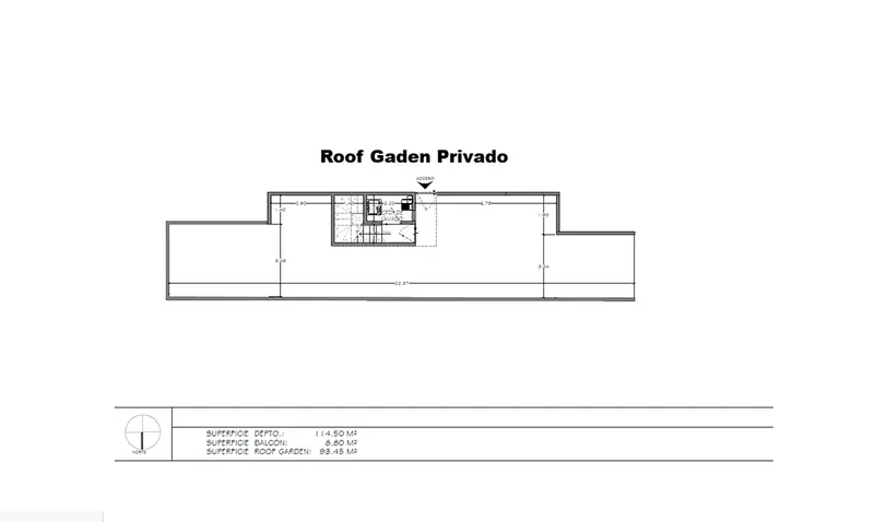 mioguel anel roof.png