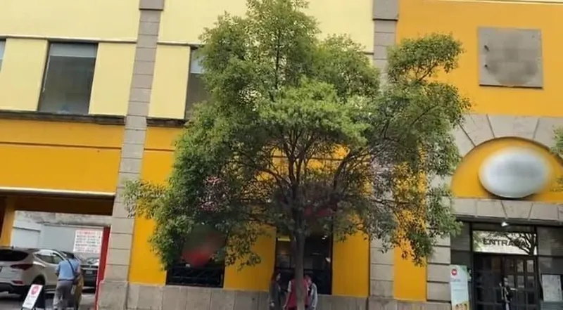 Lote en venta · Centro (Área 4), Centro, Cuauhtémoc, Ciudad de México
