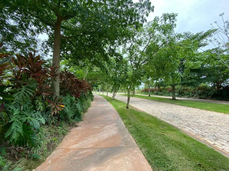 Foto 43