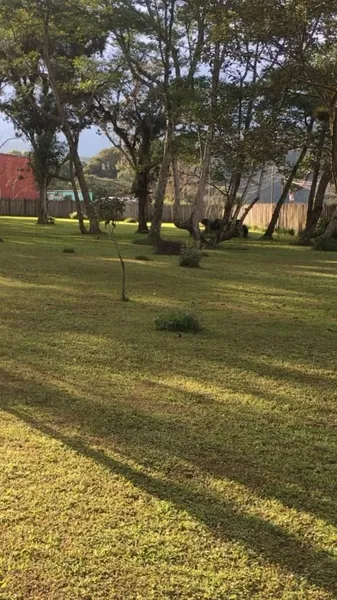 Lote en venta · 10 de Mayo, Coatepec, Veracruz