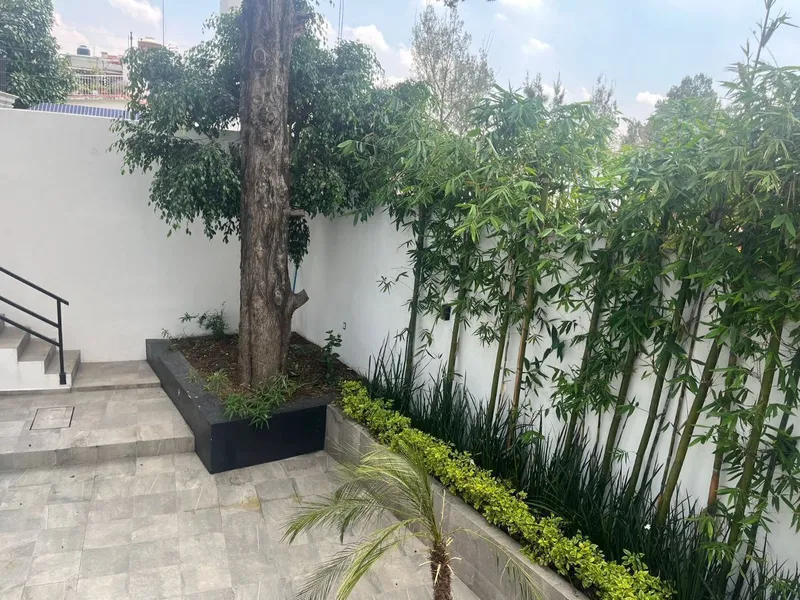 Foto 19
