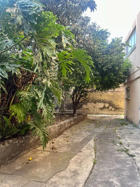 Foto 14