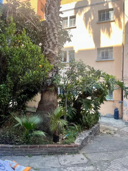 Foto 8
