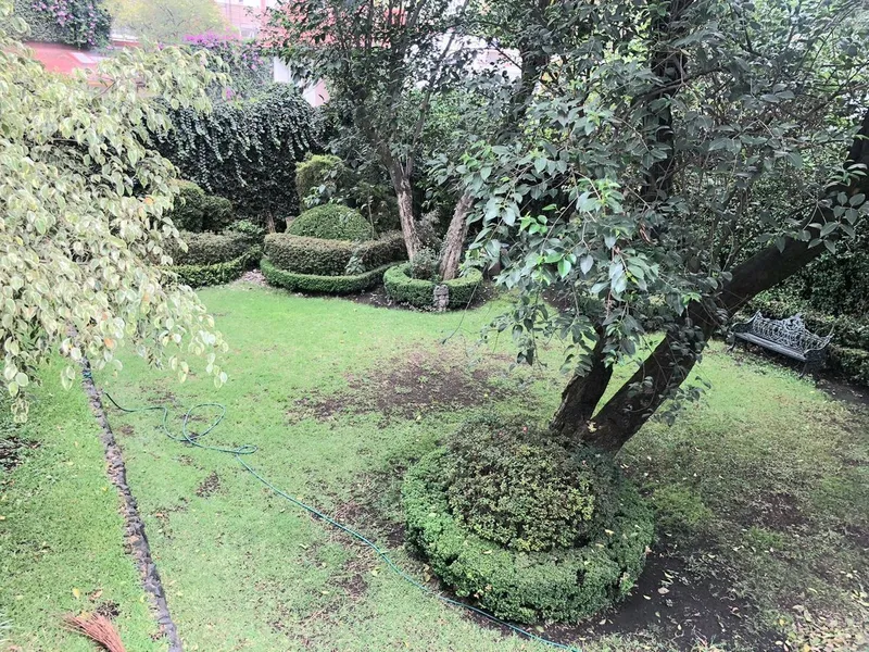 Foto 6